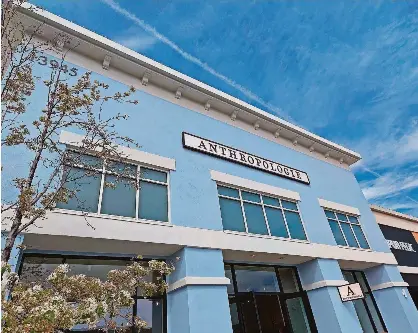 8 new and upcoming shops at Reno’s Shayden Summit mall | Reno Gazette ...