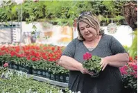  ?? MATTHEW P. BARKER EXAMINER ?? Victoria Whitney, manager of Griffin’s Greenhouse­s, recently spoke to bylaw officers seeking answers to why parking lot garden centres were being allowed to open fully.