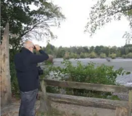  ?? FOTO ROGER DREESEN ?? De grote vijver op Lozerheide is de enige broedplaat­s voor lepelaar en roerdomp in Limburg.