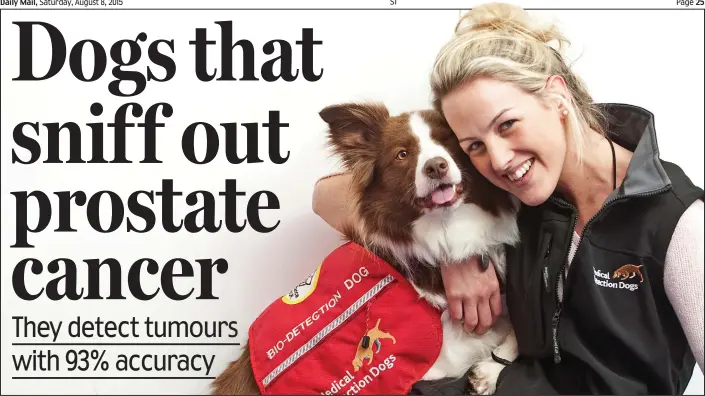  ??  ?? Pup practition­er: Lacy, one of the dogs on the cancer trial, gets a well-deserved cuddle from trainer Sophie Lines after a hard day’s work