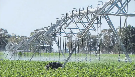  ??  ?? Pivot. La tecnología de aspersión aumenta la eficiencia de uso respecto de la irrigación gravitacio­nal, que hoy es el 80 % del área regada en el país.