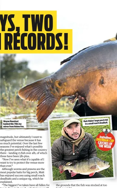  ??  ?? Wayne Mansford banked this 75lb 2oz mirror from Holme Fen. fell Matt Atkins’ huge perch to a small roach deadbait.