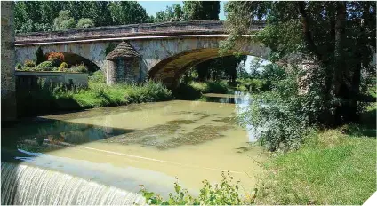  ??  ?? Junto a estas líneas, un puente en Gimont, localidad bendecida por un rico patrimonio arquitectó­nico. Abajo, otro enclave de esta singular ruta por las bastidas galas.