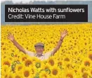  ?? Credit: Vine House Farm ?? Nicholas Watts with sunflowers