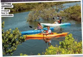  ?? ?? GETTING AMONGST IT
A kayak tour is unmissable