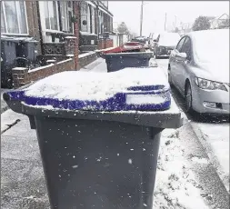  ??  ?? Thousands of bins have been missed because of the snow