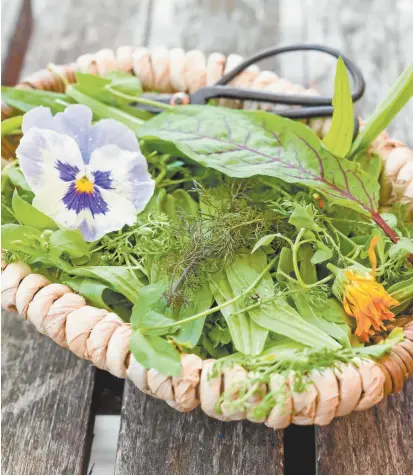  ??  ?? A basket of wild herbs and edible flowers, including chickweed and mallow.
