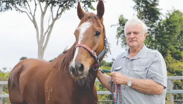  ?? Picture: NATASHA EMECK ?? TOP TEAM: Tablelands trainer Ricky Ludwig with Windmill Lane, who will step up to start in the Cleveland Bay this afternoon.