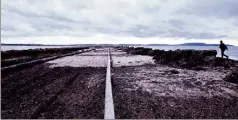  ?? (Photo V.L.P.) ?? Hier, les promeneurs ont découvert une route du Sel entièremen­t recouverte par endroits de sable et de posidonies.