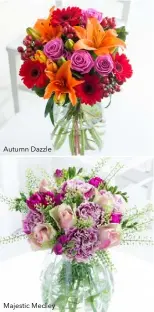  ??  ?? Autumn Dazzle Majestic Medley