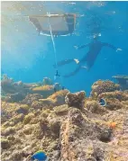  ?? BBC Studios ?? ABOVE Coral larvae are released from a remotely operated vehicle on to a damaged reef.