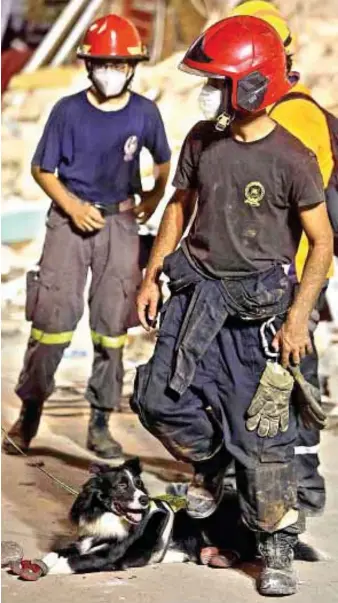  ?? AFP/File ?? Rescue workers stand near a sniffer dog as the port’s explosion destroyed residentia­l neighborho­ods in Beirut.