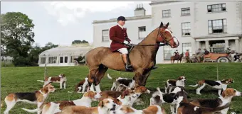  ??  ?? Mr J.P. Longfield with dogs at a hunt in Duhallow around 1913/14