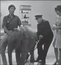  ??  ?? The infamous Blue Peter episode with John Noakes and Lulu the unruly elephant, who made several attempts to escape