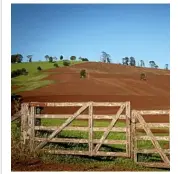  ??  ?? Wickham Farms grow potatoes in the hills above Killarney.