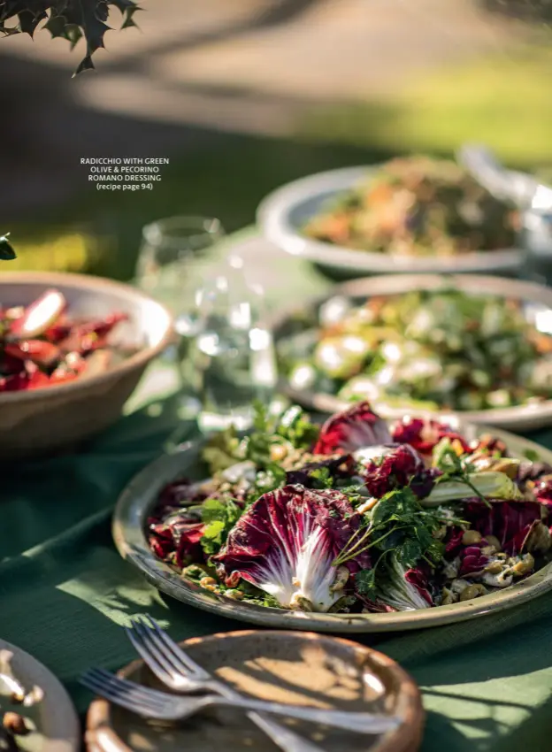  ?? ?? RADICCHIO WITH GREEN OLIVE & PECORINO ROMANO DRESSING (recipe page 94)