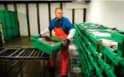  ??  ?? Ragnar Vårøy stabler på plass 96 kasser fisk på femti kilo stykket før klokka har passert 06.
