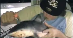  ?? — FACEBOOK ?? An unnamed fisherman is seen using a dead shark as a bong in a video posted on Facebook.