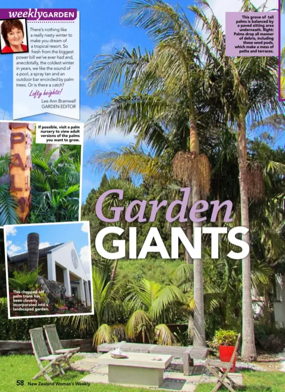  ??  ?? If possible, visit a palm nursery to view adult versions of the palmsyou want to grow. This chopped- off palm trunk has been cleverly incorporat­ed into a landscaped garden.This grove of tall palms is balanced by a paved sitting areaundern­eath. Right: Palms drop all manner of debris, includingt­hese seed pods, which make a mess ofpaths and terraces.