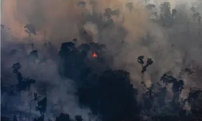  ??  ?? A fire burns in a section of the Amazon rain forest on 25 August in Porto Velho, Brazil. Photograph: Victor Moriyama/Getty Images