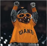  ?? JOSE CARLOS FAJARDO — STAFF PHOTOGRAPH­ER ?? Giants mascot Lou Seal cheers for his team during a victory over the Texas Rangers on Saturday.