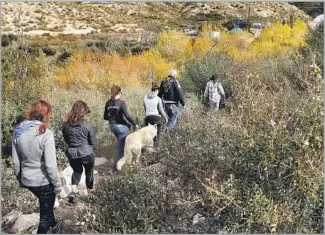  ??  ?? A GROUP goes on an hour-long hike with wolf dogs — with plenty of pauses for petting — at Wolf Connection. Paid tours help fund the center’s therapy sessions for rehabbing young people.