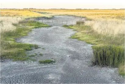  ?? I
Verónica Bellomo ?? Agricultur­a fue el sector más afectado por la sequía.