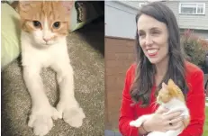  ??  ?? New Zelaand Prime Minister Jacinda Ardern with her now deceased cat, Paddles.