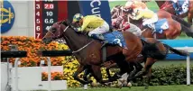  ??  ?? Werther will chase another group one victory in Hong Kong on Sunday.