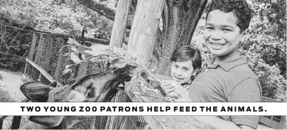  ?? Houston Zoo ?? TWO YOUNG Z00 PATRONS HELP FEED THE ANIMALS.