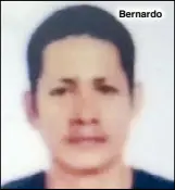  ??  ?? Bernardo