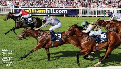  ??  ?? 1-2-3: Angel Alexander (far left) leads home Growl (23) and Gulliver (16) at Ayr