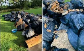  ?? ?? Doreen found the pile, made up of at least 30 bags of rubbish, last Tuesday