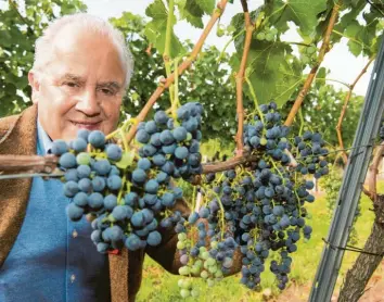  ?? Foto:Patrick Seeger, dpa ?? Fritz Keller führt in der dritten Generation ein Weingut. Allerdings hat der 62-Jährige auch Ahnung vom Fußball. Jetzt soll er neuer Präsident beim DFB werden.