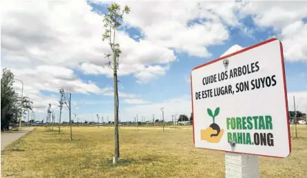  ?? PABLO PRESTI - LA NUEVA. ?? LA ONG recupera, limpia, preserva y, fundamenta­lmente, foresta nuevas áreas verdes en la ciudad.