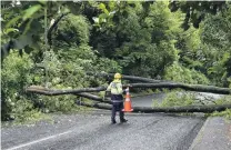  ?? PHOTO: GREGOR RICHARDSON ?? Cones out . . . Fire and Emergency New Zealand personnel deal with a downed tree on Maori Rd, Dunedin.