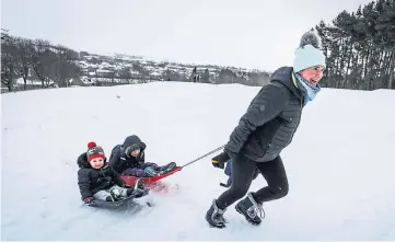  ??  ?? WINTER WONDERLAND: Dog walkers on Perth’s South Inch yesterday, top; Adam, 3, and Kuba, 6, Kosecka are pulled along by mum Lidia in Dundee, above; and, left, Tinker the lurcher seems to enjoy the white stuff in Dundee. Pictures by Mhairi Edwards.