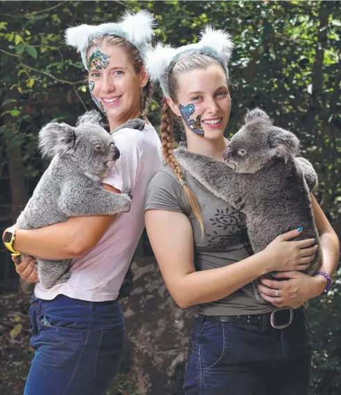  ?? Picture: MARC McCORMACK ?? FURRY FRIENDS: Wildlife warriors Hollie Powell with Evie and Emma Delarue with Kaila are getting the message across for Save the Koala Day at Hartley's Crocodile Adventures.