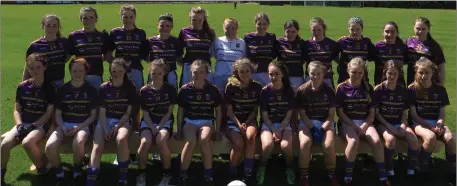  ??  ?? The Wexford Under-14 squad before Saturday’s Leinster final defeat in Conneef Park, Clane.