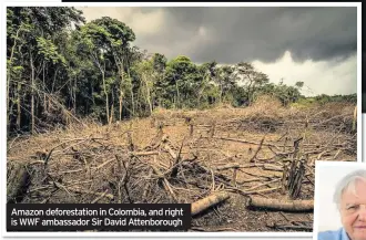  ??  ?? Amazon deforestat­ion in Colombia, and right is WWF ambassador Sir David Attenborou­gh