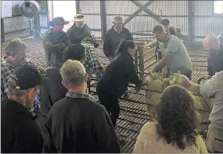  ??  ?? SUPPORT: meeting. Farmers at this month’s Horsham Best Wool Best Lamb, BWBL, Picture: CRAIG ALTMANN