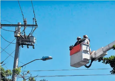  ?? ARCHIVO ?? Contratist­as de la empresa Electricar­ibe realizan trabajos de mantenimie­nto en las redes de energía.