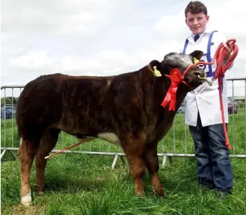  ??  ?? Aidan Kinahan from Kilfinane, Co Limerick was champion young handler at Midleton Agricultur­al Show.