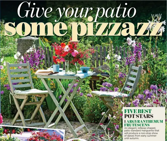  ??  ?? OASIS OFCALM: Make sure furniture is the right size for your patio and add pots, left, to inject further colour and drama