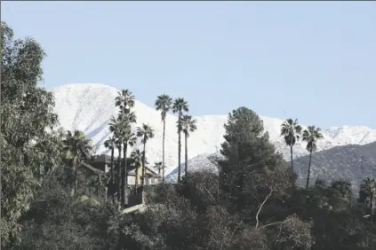  ?? JOHN ANTCZAK/AP ?? SNOWY MOUNTAINS PROVIDE A BACKDROP to suburban palm trees northeast of Los Angeles on Sunday after a major winter storm swept through the state. Snow fell to unusually low levels in Southern California.