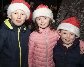  ??  ?? Brian Lacey, Jade Roche and Rhys Lacey at the switching on of the Christmas lights in Taghmon.