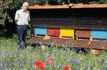  ??  ?? Der Imker Reinhard Kummer aus Kleinroda bei Wiehe vor seinem bunten Bienenhaus mit Kornblumen­beet, welches seine Bienen besonders lieben. Sein Vater hatte ihn vor  Jahren für die Imkerei begeistert. Foto: Lisa Mahler