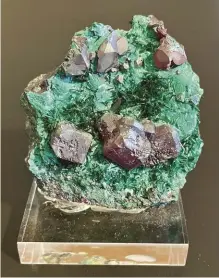  ?? JONES COLLECTION ?? Cuprite with atacamite. Graeme specimen-Collected by Dick Graeme, this specimen of cuprite associated with uncommon atacamite was found on the oxide dump.