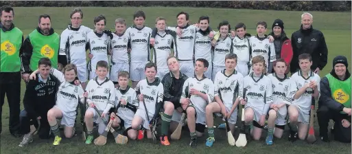  ??  ?? The Bray Emmets team who will play Carnew Emmets in the Feile final in Arklow.