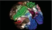  ??  ?? In what many are calling a milestone, researcher­s published this new map of the brain, detailing nearly 100 previously unknown regions.